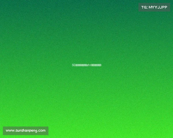 SE电子竞技俱乐部—shr电子竞技俱乐部